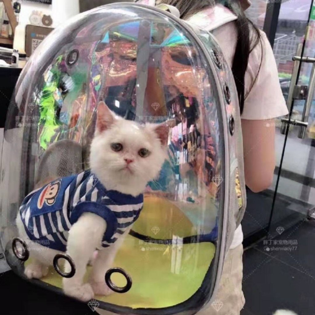astronaut pet backpack