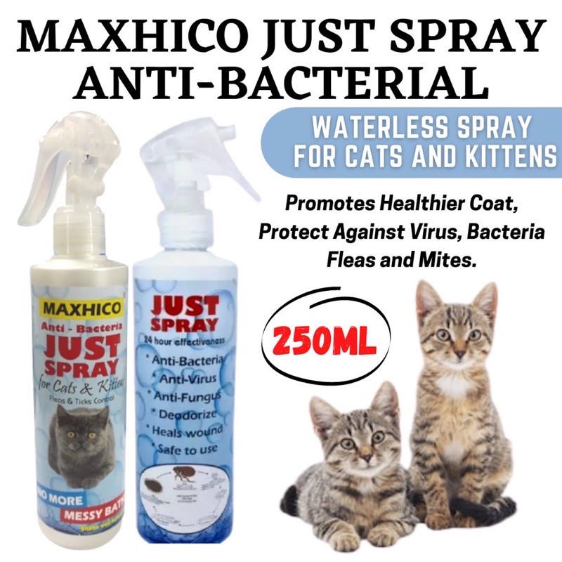 Maxhico just spray 250ml/ kittens&adult cats/ ticks,flea,fungus care