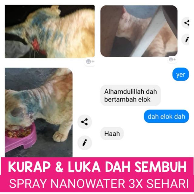 Nano water spray kucing  Shopee Malaysia