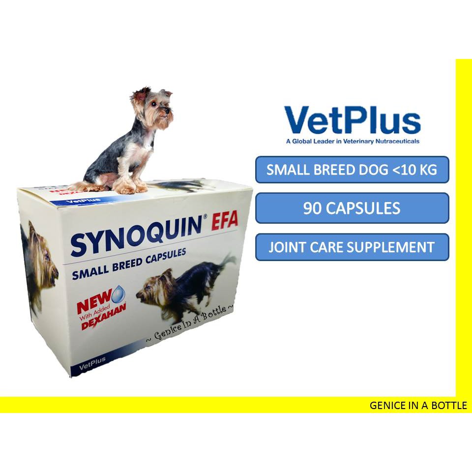 synoquin dog supplement