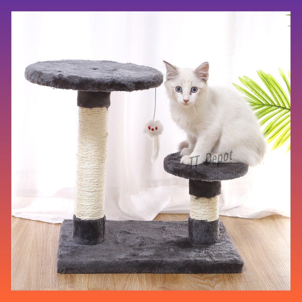 cat scratcher shopee