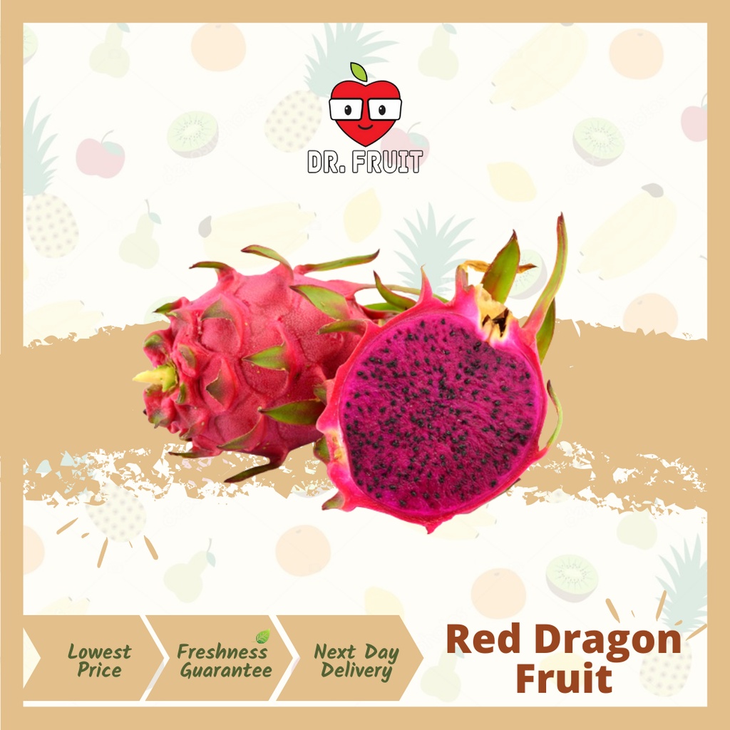 Red Dragon Fruit *Grade B* (400g-499g/pcs) - 3pcs 红火龙果/龙珠果 | Dr.fruit /Buah Naga/