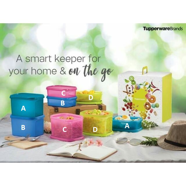 Tupperware Smart Keeper Gift Set Modular Mates Mini Rectangular 850ml and 1.9L