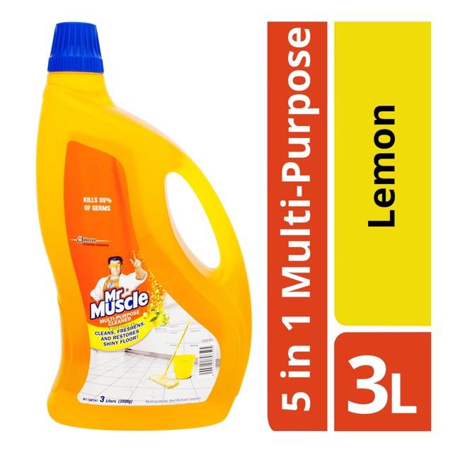 Mr Muscle 2l 3l Multi Purpose Cleaner Floor Cleaner