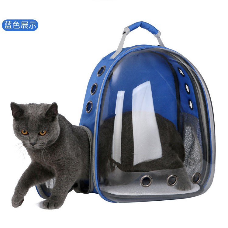 pet bubble backpack