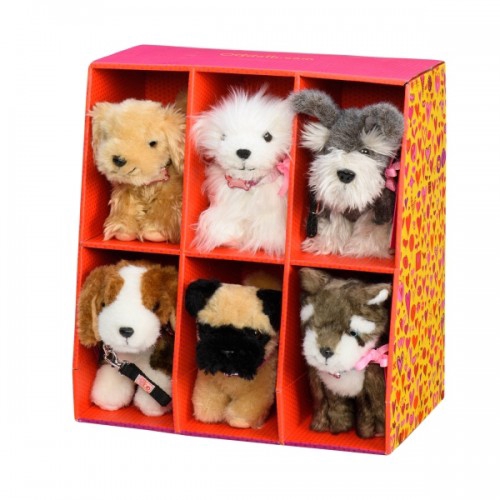 our generation schnauzer pup