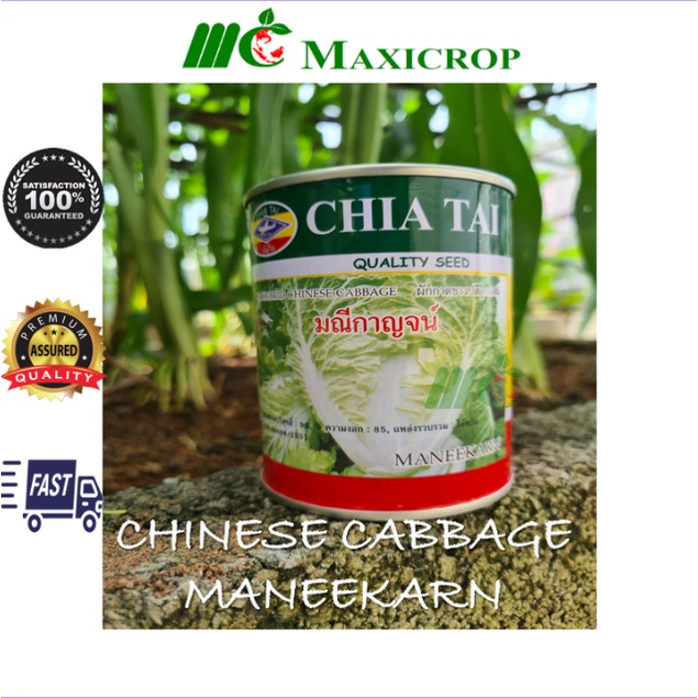 100g [Chia Tai] F1 Hybrid Chinese Cabbage Maneekarn seeds/F1 Biji Benih Kubis Maneekarn 白菜种子