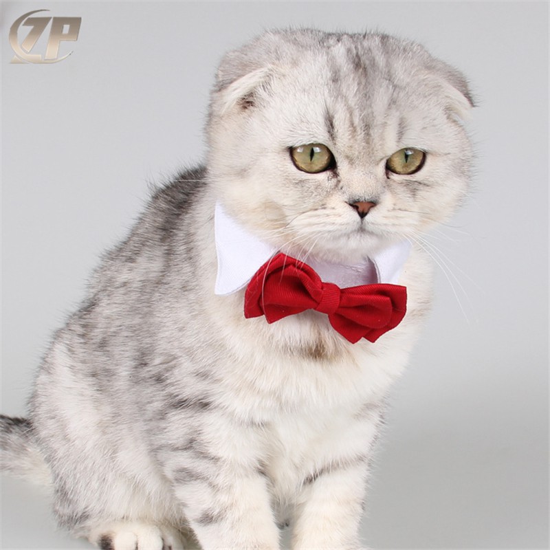 neck tie for cat