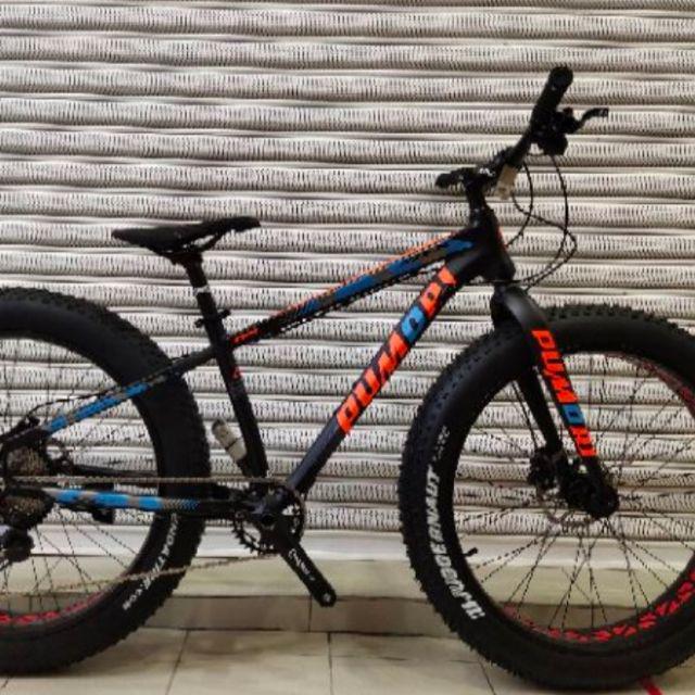 fat bike pumori