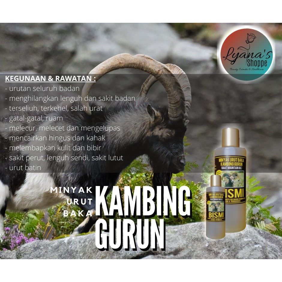 Malaysia kambing gurun Imamat 16:21