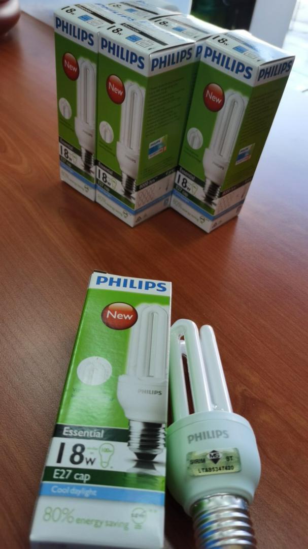 Philips Essential Cool Daylight E27 18W 3U PLCE Bulb / Mentol 