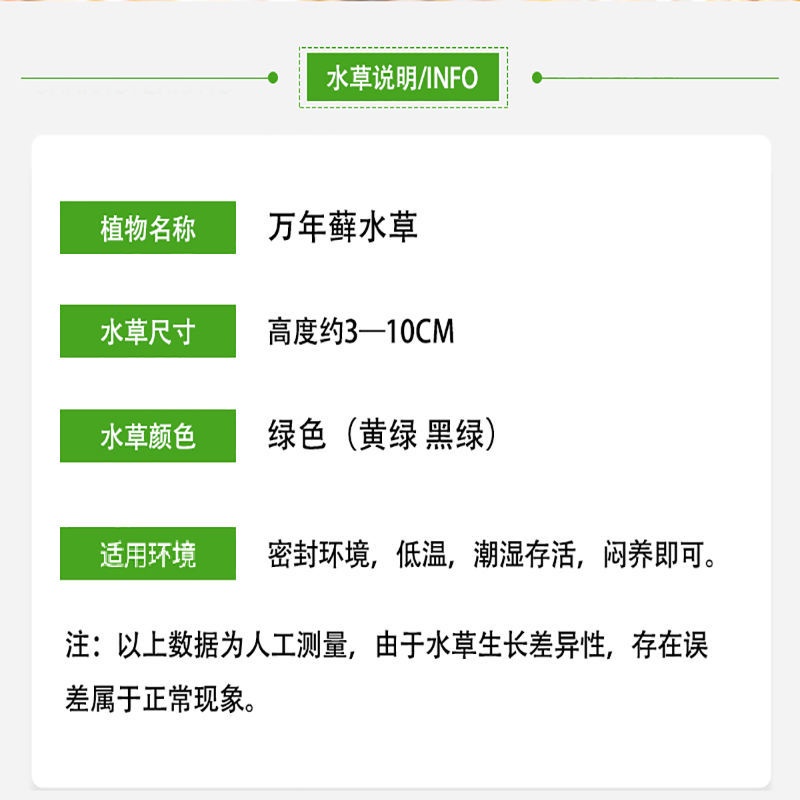 Live Mosses水草鱼缸鱼草万年藓水草活体耐活耐低温苔藓鱼缸水族箱生态瓶造景 Shopee Malaysia