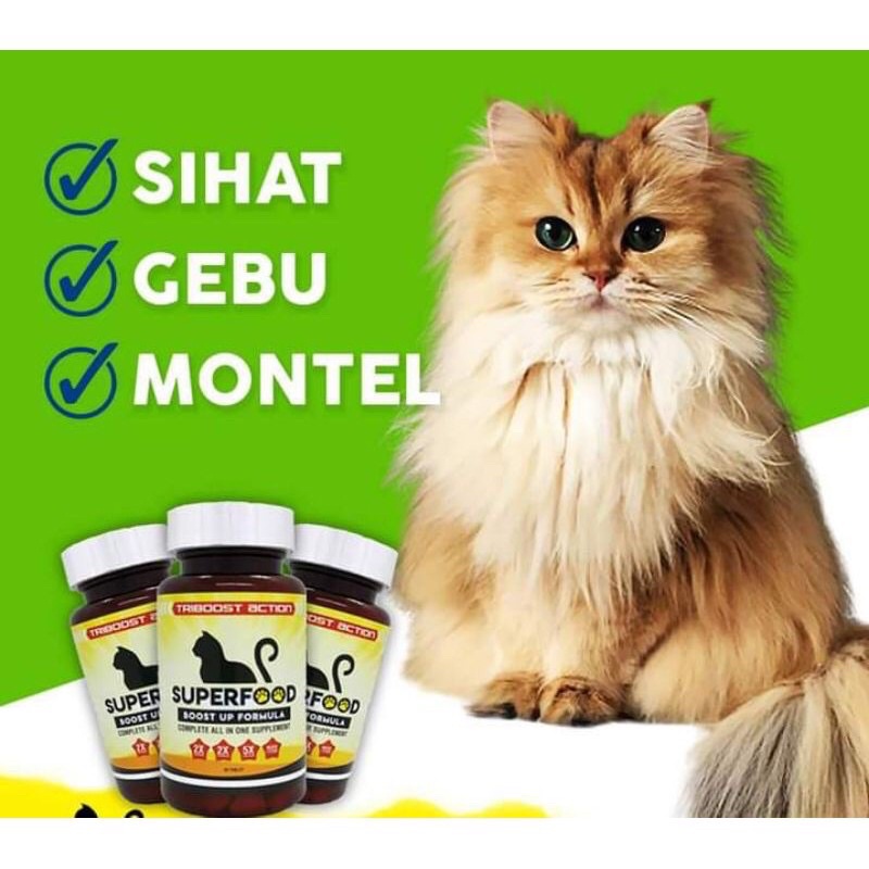 Buy Superfood Vitamin Kucing Special Gift Untuk Bulu Lebat Gemuk Kurap Kutu Seetracker Malaysia