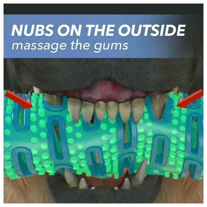 bg