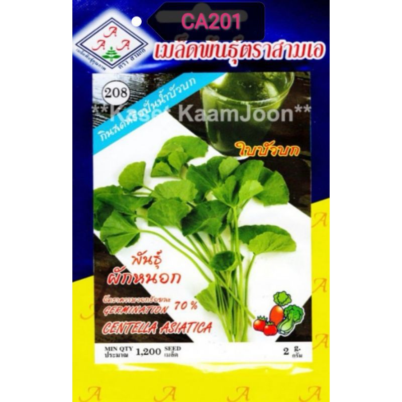 Biji Benih Pegaga / Ulam Pegaga / Centella Asiatica (1200++ seeds ...