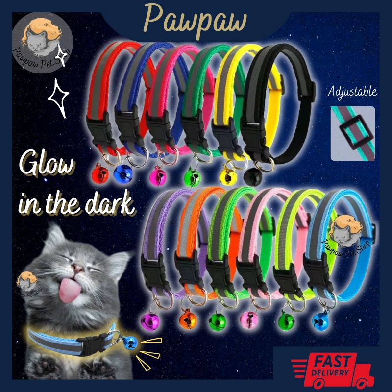 Glow in the dark kitten clearance collar