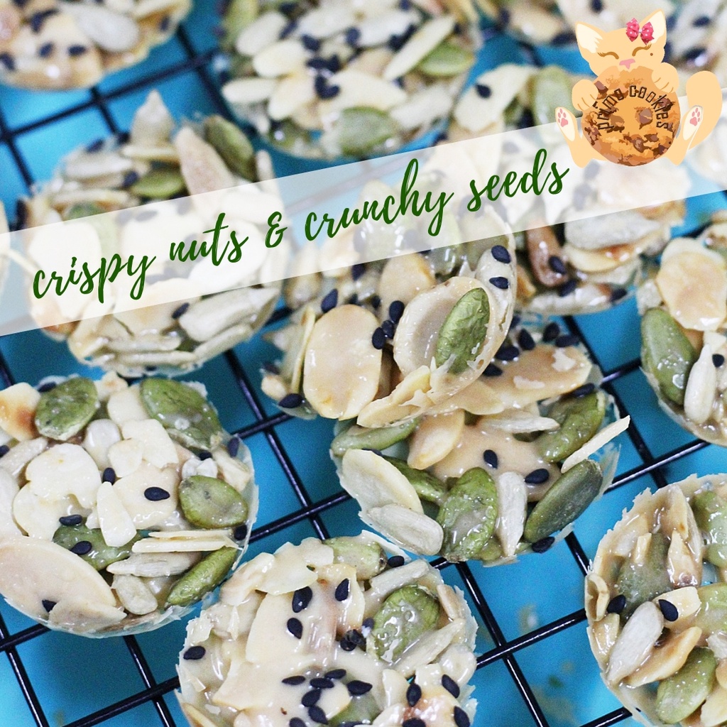 Primo Cookies Biskut Florentine Almond Nutty Crunchy Kekacang Cookies Raya