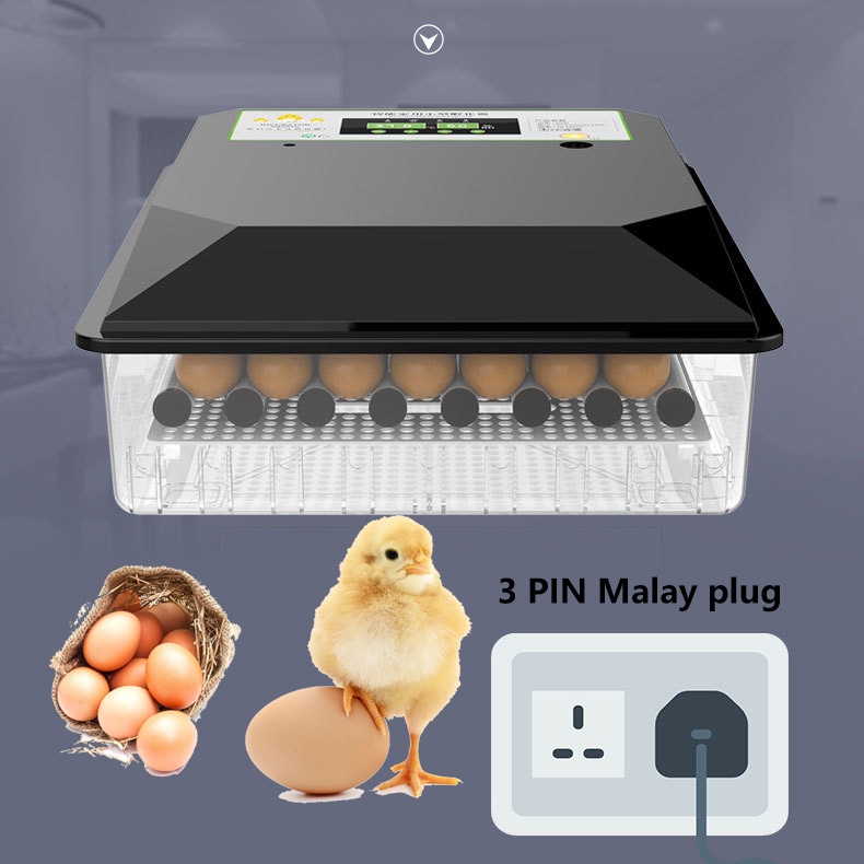 BONGDOU Malaysia Stock 36/56/64 Egg Turning Incubators Automatic Bird Chicken Duck Poultry Hatcher w/Temperature Control