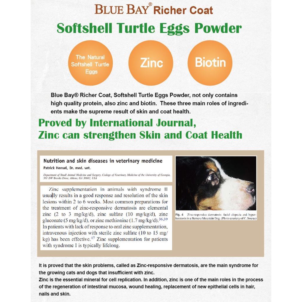 Are Turtles Eggs Bad For Dogs