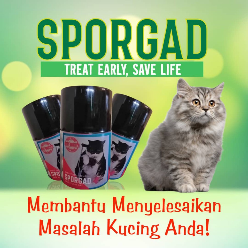 Ubat Kucing Hilangkan Kurap Paling Mujarab Shopee Malaysia