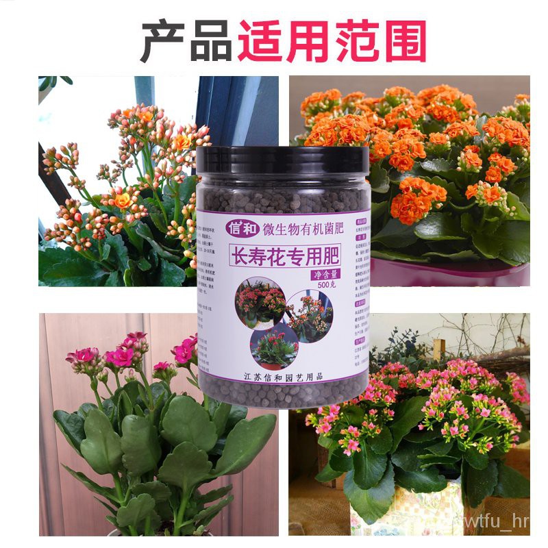 Nutrient Solution长寿花花肥料专用肥花用的催崔开花肥磷酸二氢钾营养液化肥 Shopee Malaysia