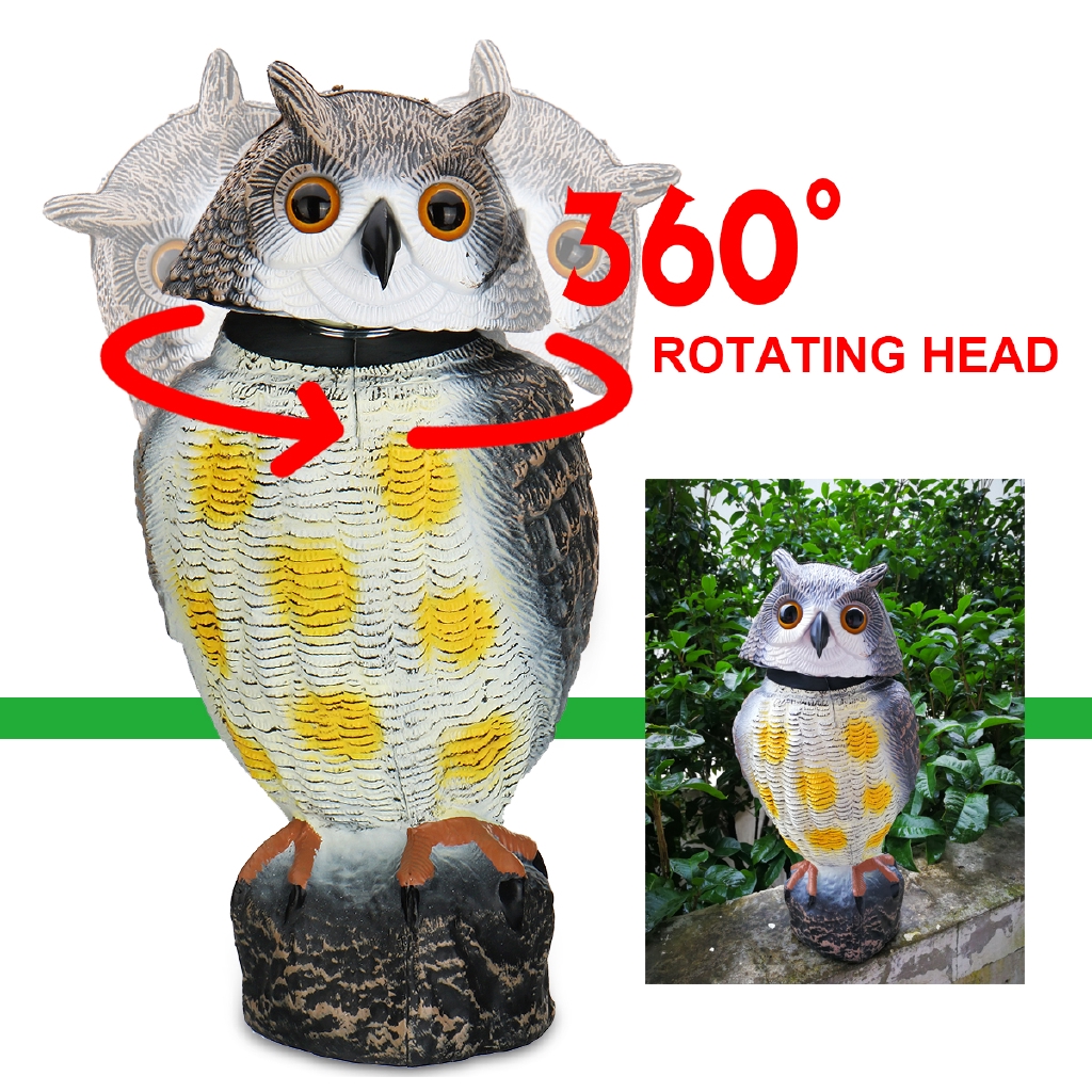 Owls For Gardens To Repel Birds Fasci Garden
