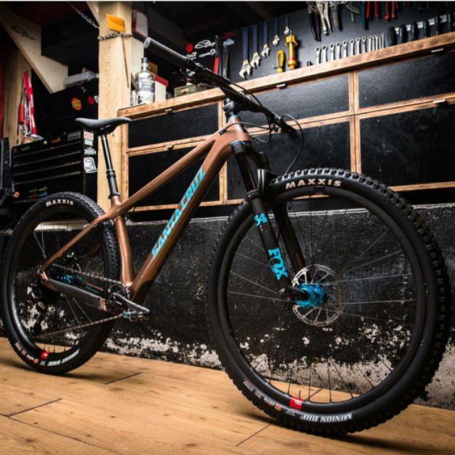 santa cruz bikes chameleon