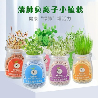 Buy Ready Stock Indoor Mini Plant Flower Garden Kit Seetracker Malaysia