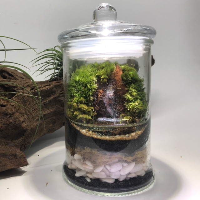 Water feature terrarium (small size) Shopee Malaysia
