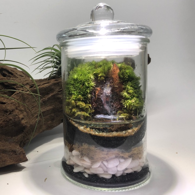 Water feature terrarium (small size) | Shopee Malaysia