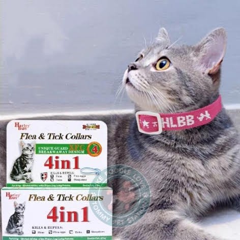 Buy UBAT KUTU KUCING Cat Kitten Flea Clear collar  SeeTracker 