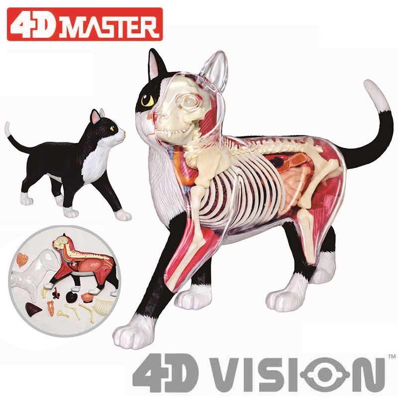 4d Master Puzzle Assembled Toy Animal Black And White Cat The Official Shopee Malaysia