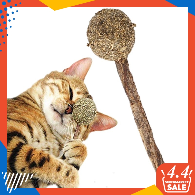 Natural Cat Treats Cat Toy Catnip Lolipop Cat Mint Stick ...