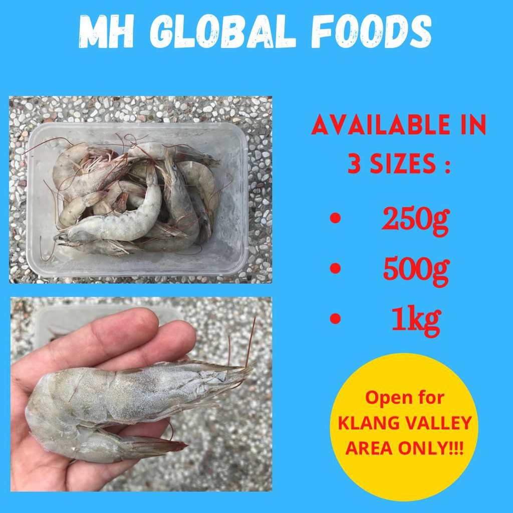 Frozen Food / Udang / Prawn / Udang Vannamei / Vannamei Prawn [Big