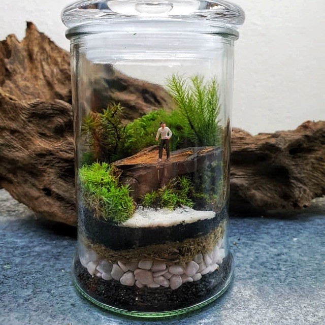 Human mini figurine in a terrarium Shopee Malaysia
