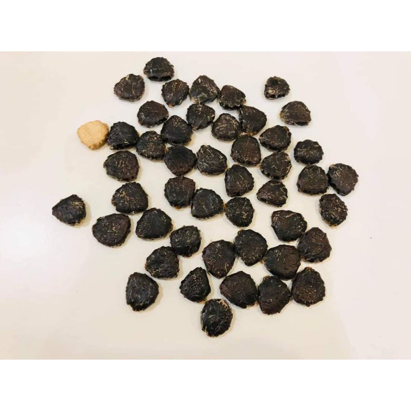 Buy Gag Fruit Seed 木鱉果種子 Seetracker Malaysia