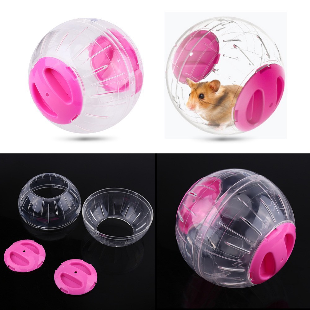 hamster ball shopee