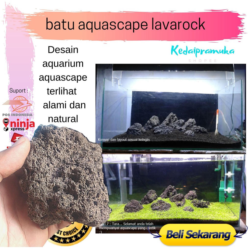 Aquarium Lavarock Hardscape Paludarium Aquascape Stone Shopee Malaysia