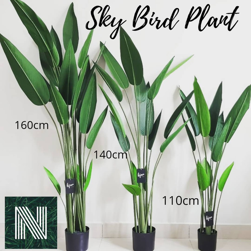 Sky Bird Plant Artificial Plant Pokok Viral Pokok Hiasan Viral By Hijau Shopee Malaysia