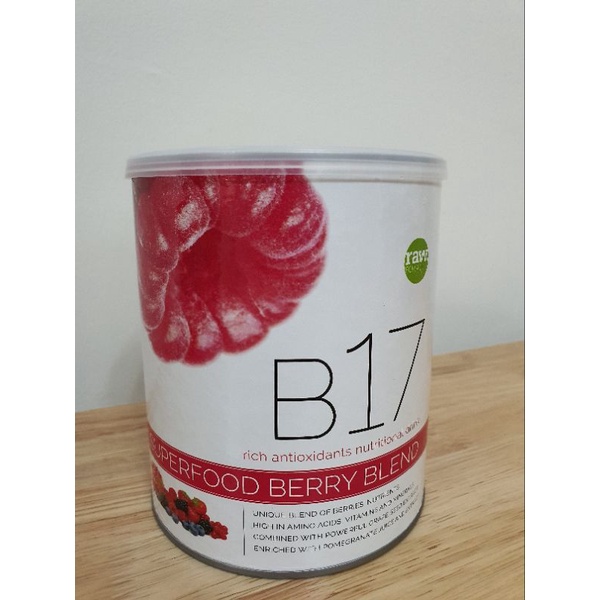 b17-superfood-berry-blend-nutrition-drink-600g-shopee-malaysia