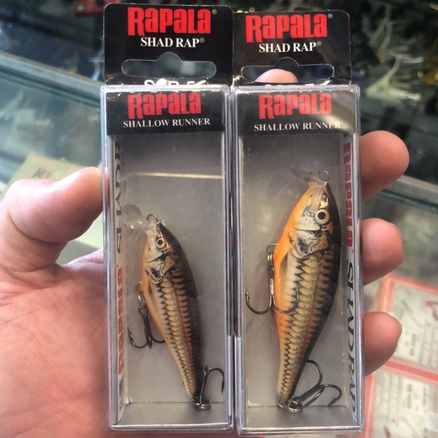 rapala shallow shad rap