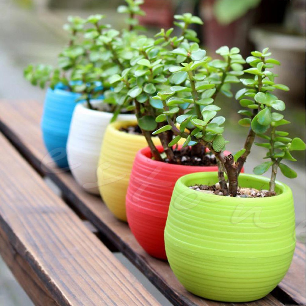 Colorful  Mini Round Plastic Planter Flower Cactus Pot Home Office Desk Dec A!AL 