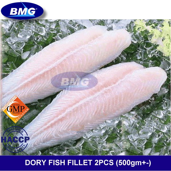 Frozen Dory Fish Fillet 2PC (550gm+) Shopee Malaysia