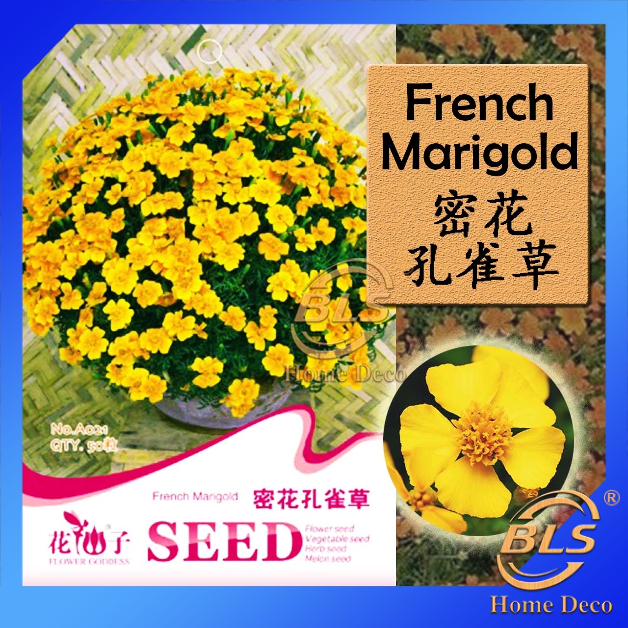 A021 French Marigold Flower Goddess Vegetable Flower Fruit Herb Seed 密花孔雀草种子 Shopee Malaysia
