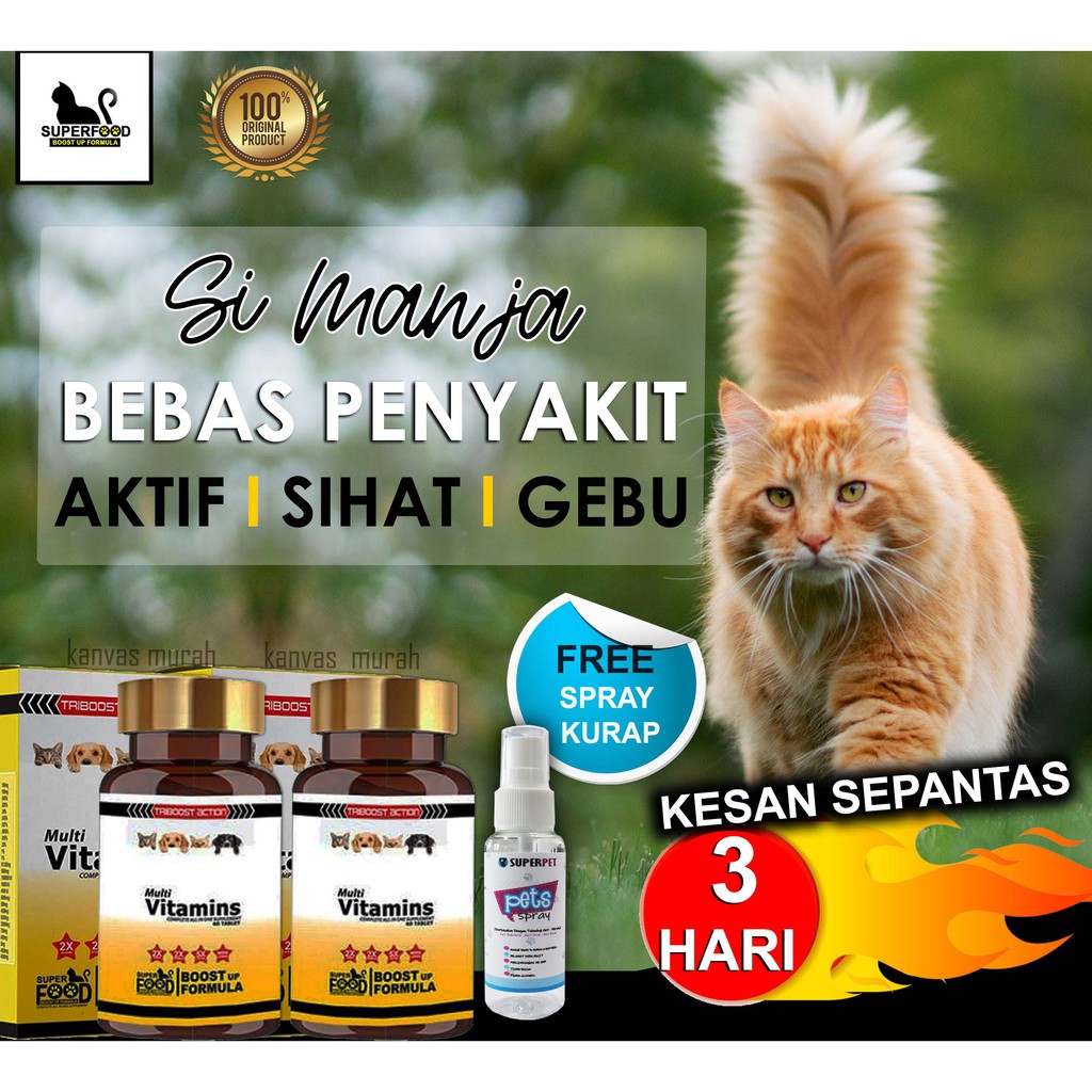 superfood cat vitamin kucing multivitamin ubat selsema demam bulu gugur