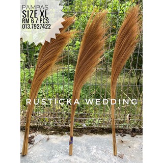 Daun Pampas Kering Dry Grass Weed Leaves Wedding Flower Daun Pampas Kering Dry Grass Weed Leaves Wedding Flower