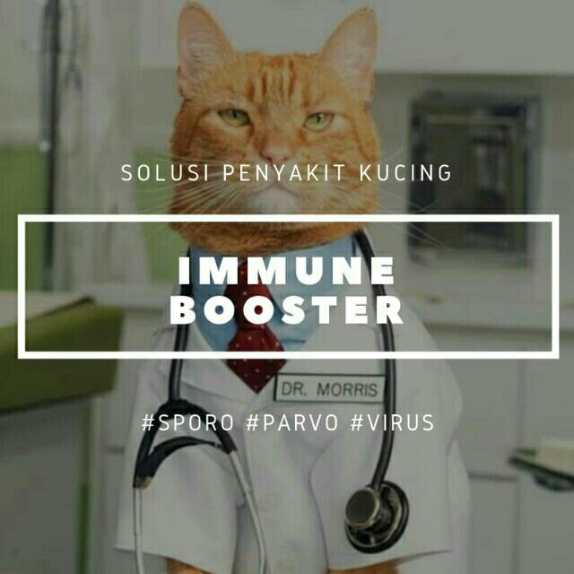 Ubat Terkena Kurap Kucing - Sinter B