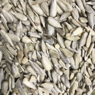 Sunflower Seeds Biji Kuaci  Shopee Malaysia