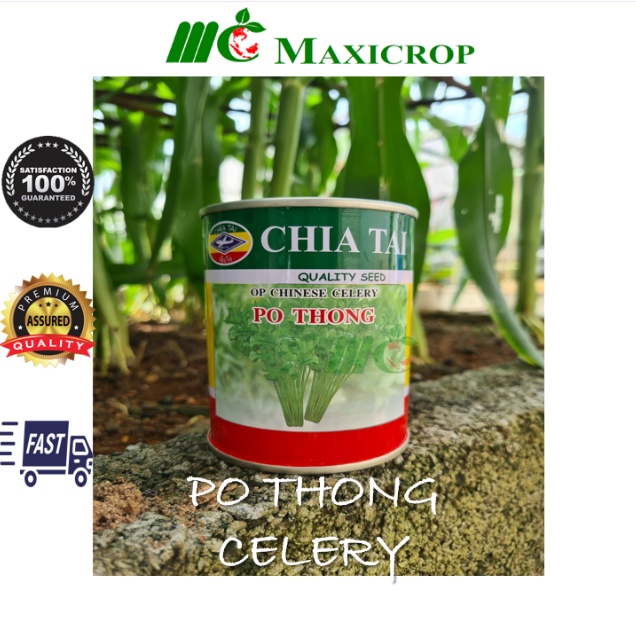 50g [Chia Tai] OP Chinese Celery Po Thong seeds/Biji Benih OP Saderi Cina Po Thong 芹菜种子