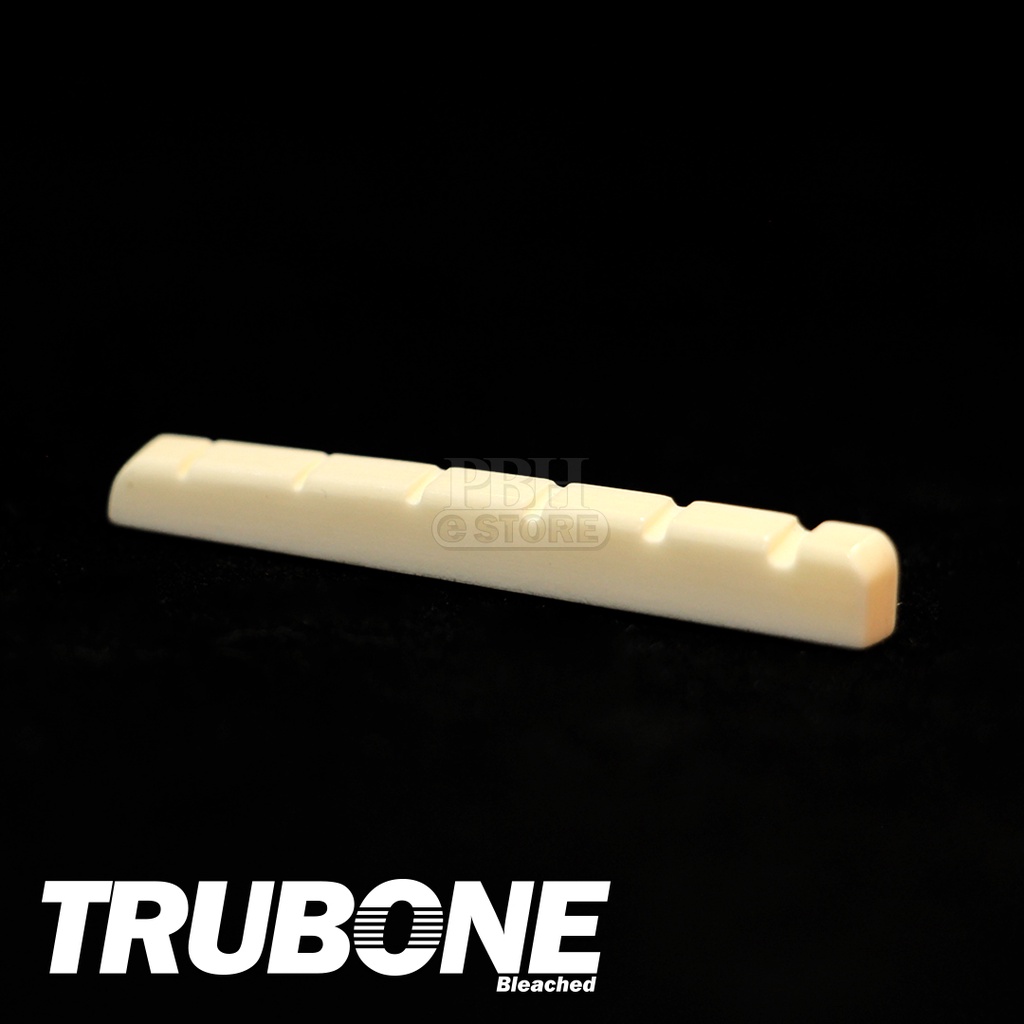 TRUBONE Stratocaster Style Electric Guitar / Acoustic Electric Bass